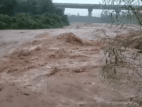 हरियाणा मानसून: मोरनी हिल्स में भारी बारिश से लैंडस्लाइड, रायपुर रानी-मोरनी सड़क बंद 3 image 14