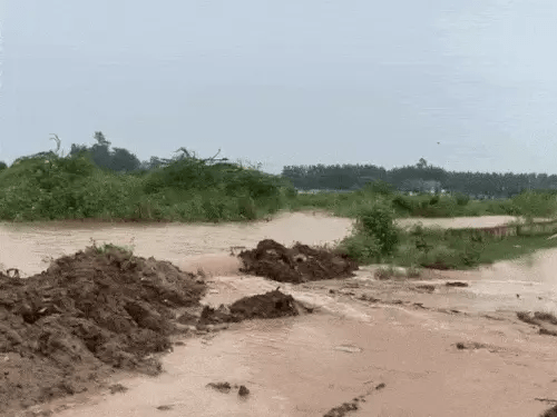टांगरी नदी का कहर: कॉलोनियों में पानी घुसा, हरियाणा में बाढ़ जैसे हालात, लोगों में हड़कंप 4 image 184