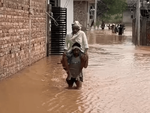 टांगरी नदी का कहर: कॉलोनियों में पानी घुसा, हरियाणा में बाढ़ जैसे हालात, लोगों में हड़कंप 5 image 185