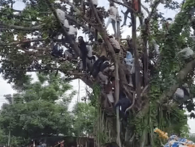 कुबेरेश्वर धाम में हरियाणा के कावरिये समेत 2 की मौत, 2 दिन में 4 श्रद्धालुओं ने तोडा दम 4 image 22