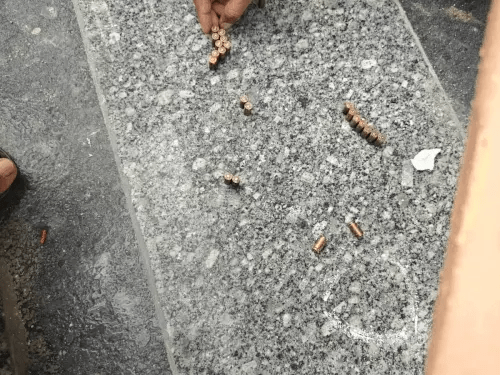 भाउ गैंग ने कराई एल्विश यादव के घर गोलीबारी आई बड़ी खबर सामने 2 image 87