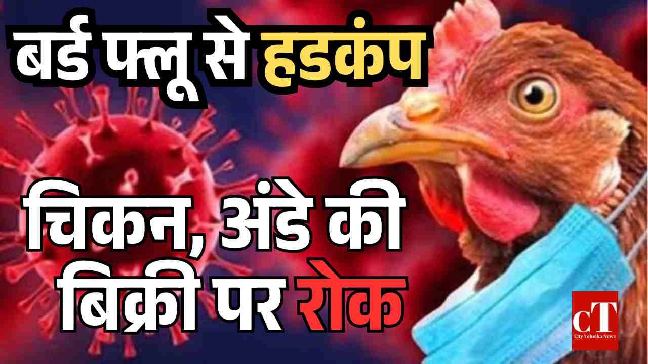 बर्ड फ्लू की एंट्री, 21 दिनों तक चिकन, अंडे की बिक्री पर रोक