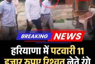 हिमाचल में अवैध होम स्टे चलाने पर लगेगा 1 लाख का जुर्माना 5